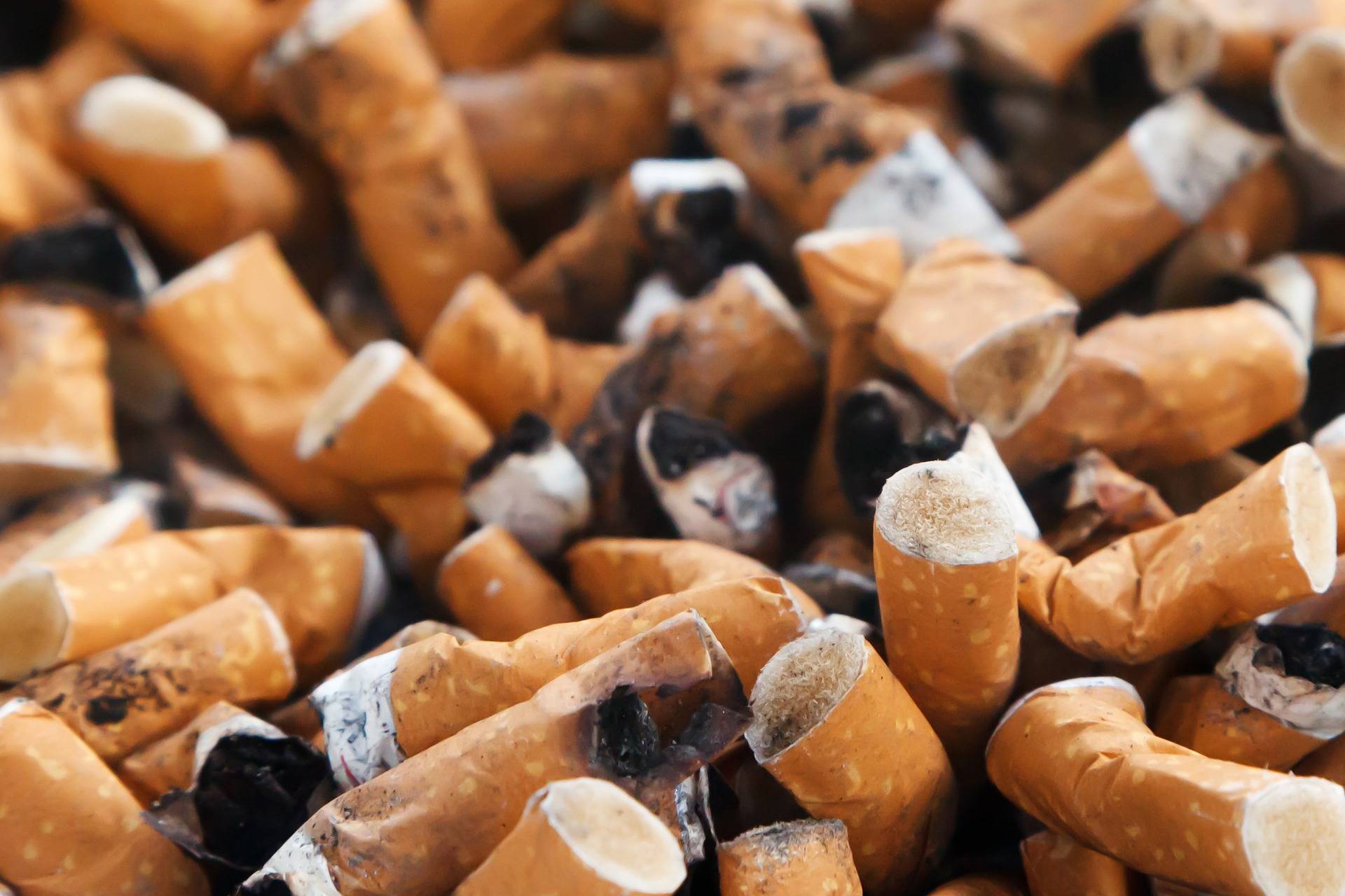 סיגריות מזיקות גם לסביבה